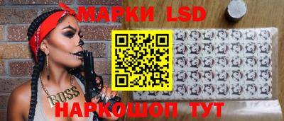 сатива Гатчина