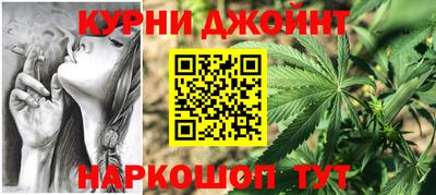 сатива Гатчина