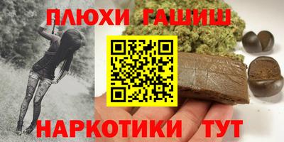 сатива Гатчина