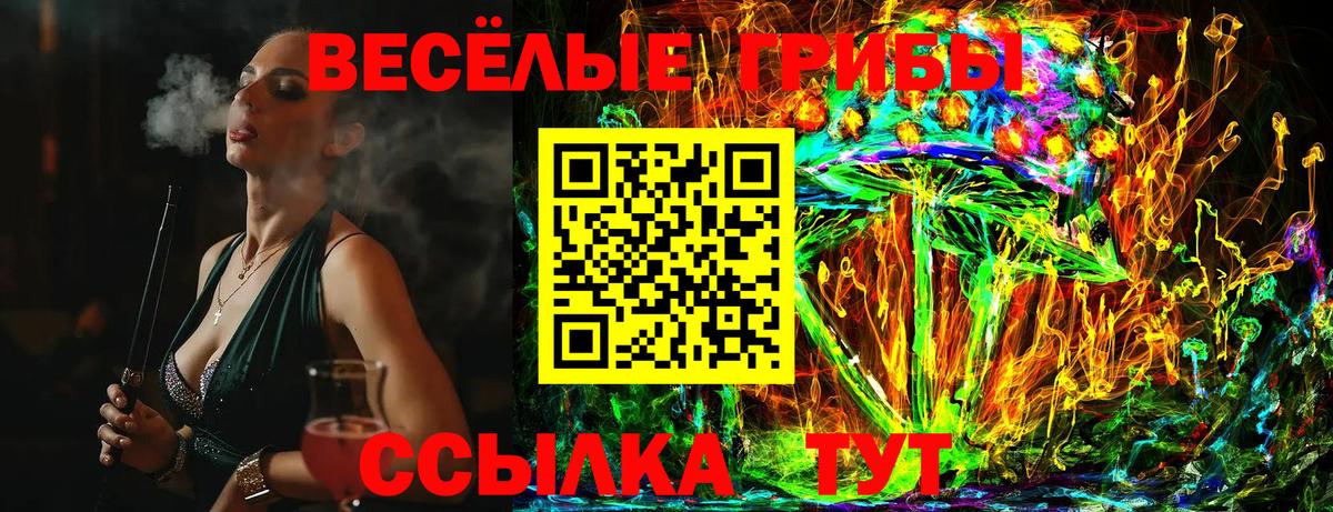 Псилоцибиновые грибы Psilocybine cubensis  Псилоцибиновые грибы прущие грибы  что такое наркотик  Вход с VPN  Гулькевичи 